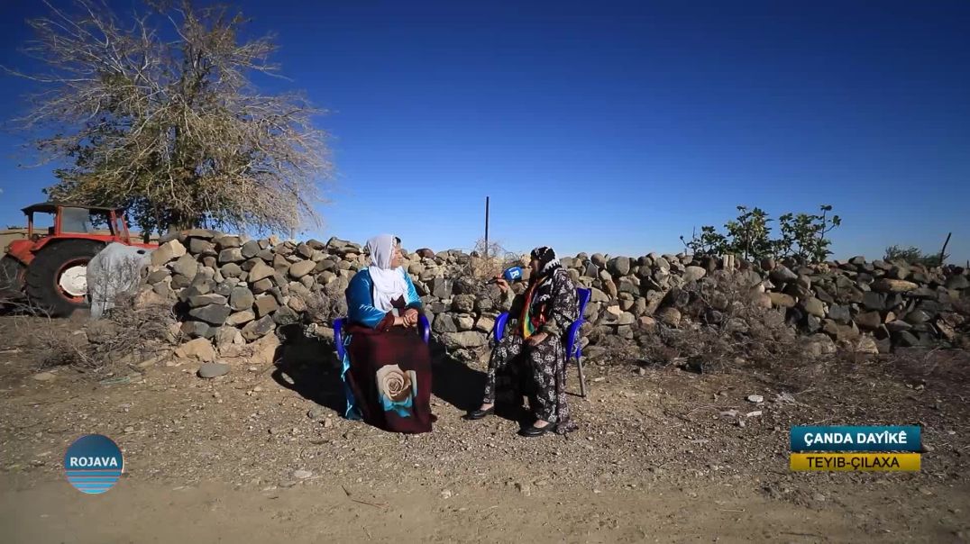 ⁣ÇANDA DAYÎKÊ || GÛNDIKÊ TEYIB  || 21 - 12 - 2025