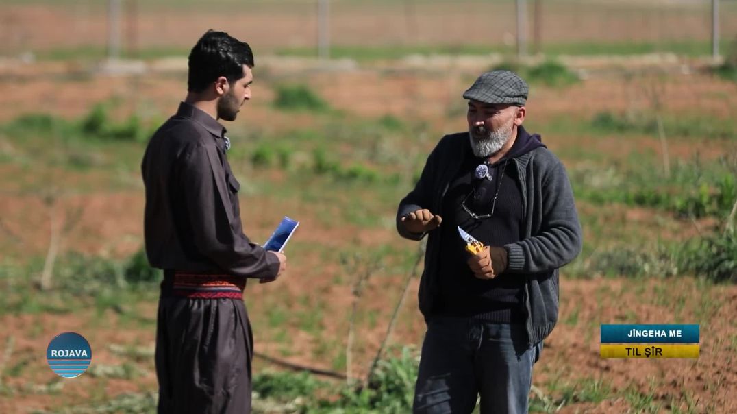 ⁣JINGEHA ME ||  GUNDÊ TIL ŞAIR  || 25 - 2 - 2026