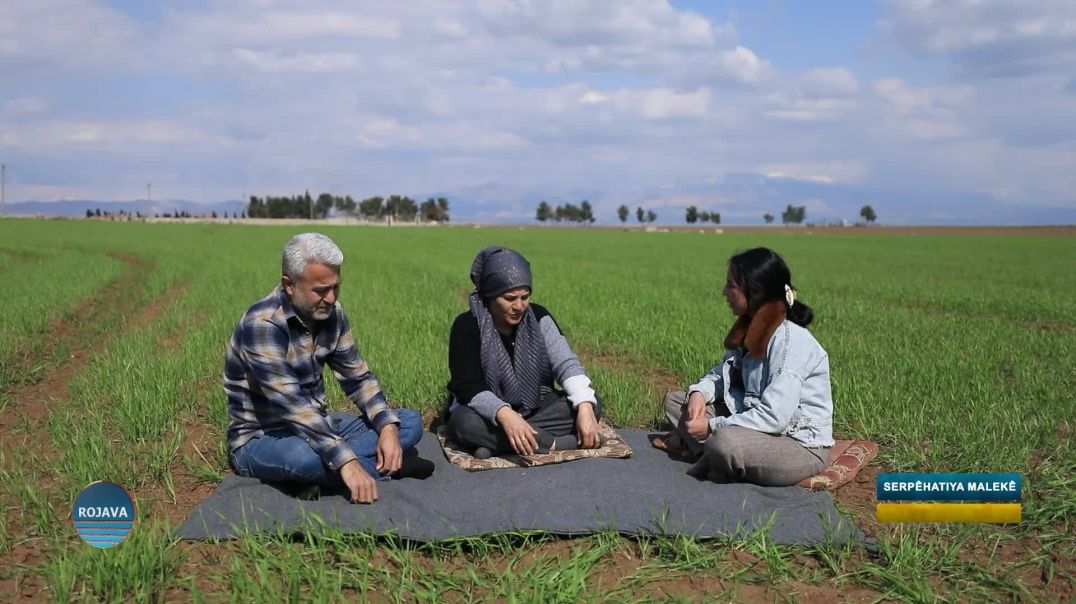 ⁣SERPÊHATIYA MALEKÊ  ||Çîroka Xwişka Sîham Û Biraiyê Xwe Elî Xelîl || 7 - 3 - 2026