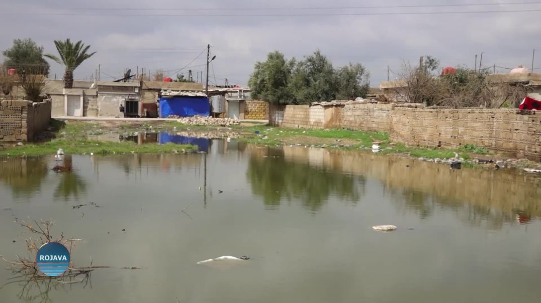 Şêniyên Qamişlo Ji Ber Koncalên Avê Û Xemsariya Şaredariyê Bi Gazinin