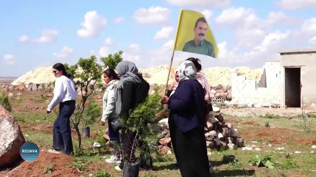 ⁣زراعة 500 شجرة على تلة مشته نور بمناسبة ميلاد القائد أوجلان