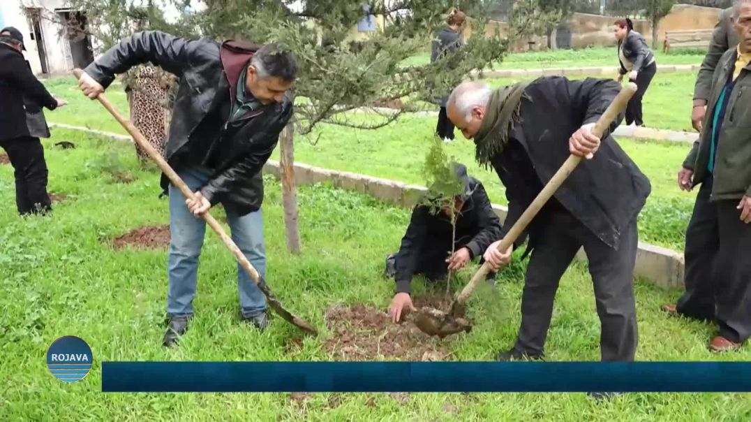 ⁣زراعة عشرات الأشجار في بلدة كرباوي بمناسبة 4 من نيسان ميلاد القائد أوجلان