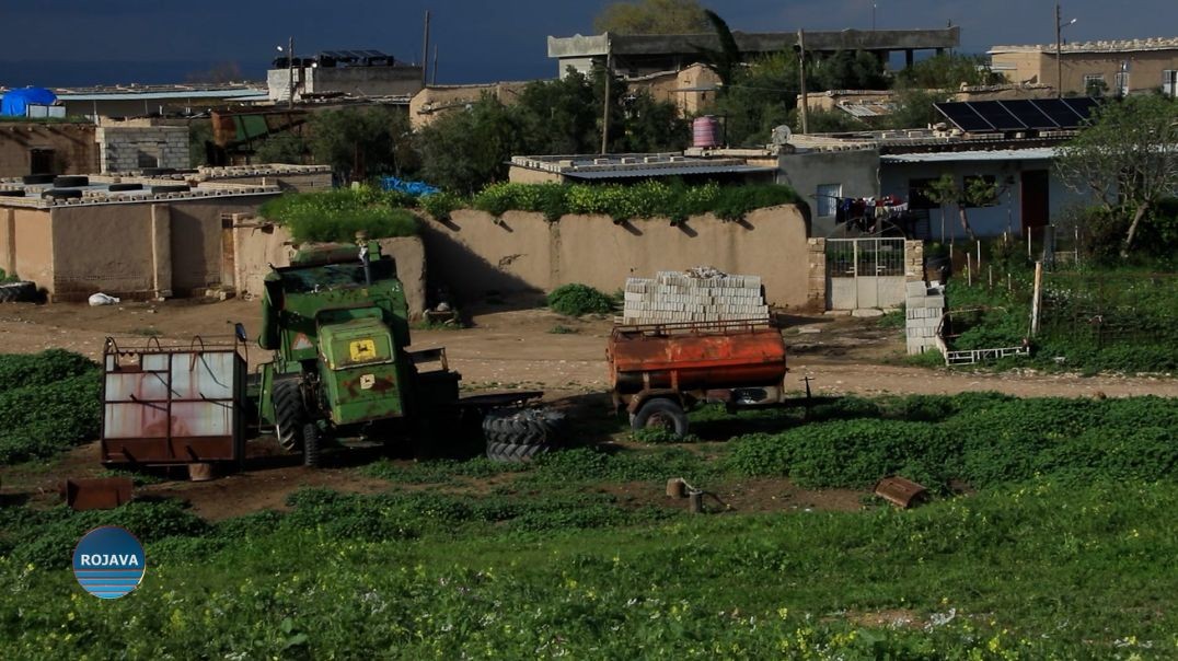 Cotkarên Cizîrê Ji Demsala Çandiniyê Ya Îsal Razî Ne