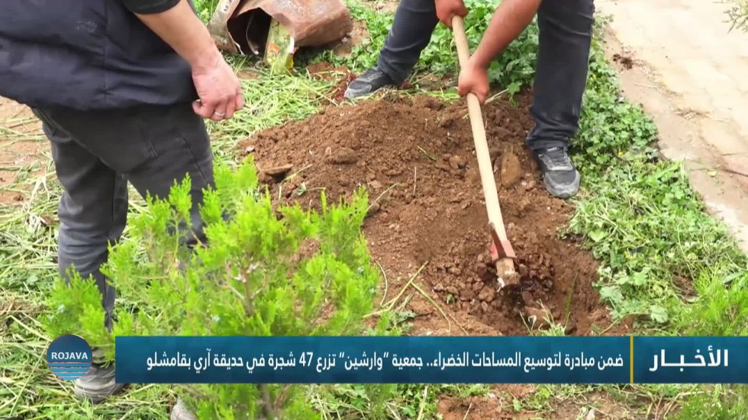 ⁣ضمن مبادرة لتوسيع المساحات الخضراء.. جمعية “وارشين” تزرع 47 شجرة في حديقة آري بقامشلو