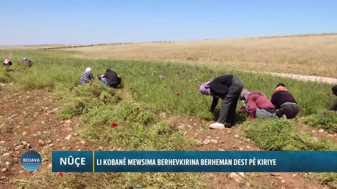 ⁣LI KOBANÊ MEWSIMA BERHEVKIRINA BERHEMAN DEST PÊ KIRIYE