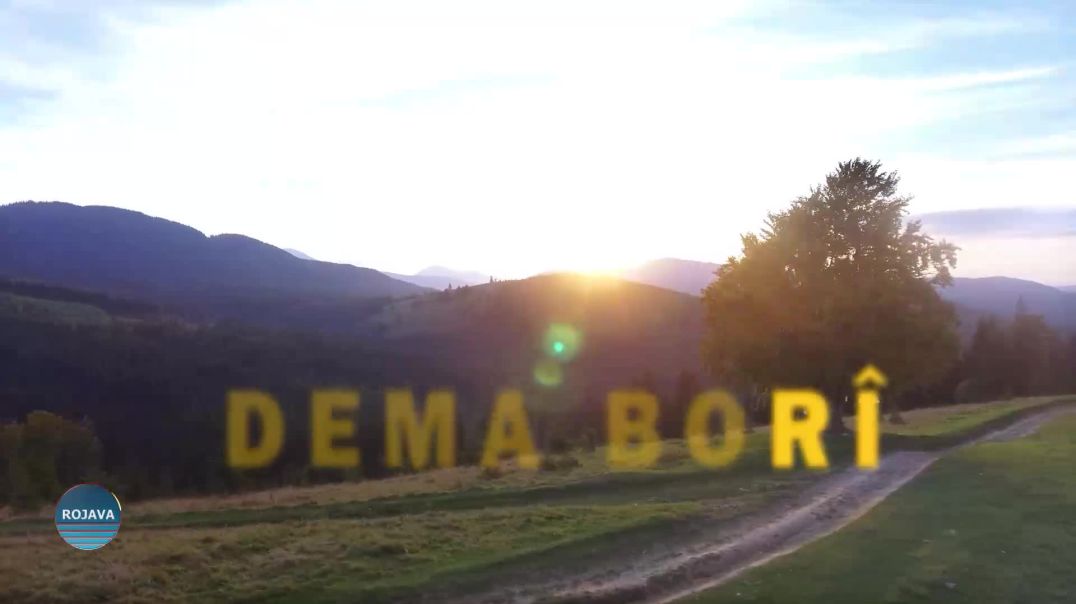 DEMA BORÎ 6 – 5 - 2026