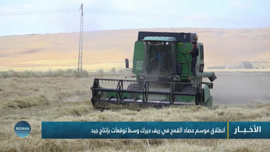 ⁣انطلاق موسم حصاد القمح في ريف ديرك وسط توقعات بإنتاج جيد