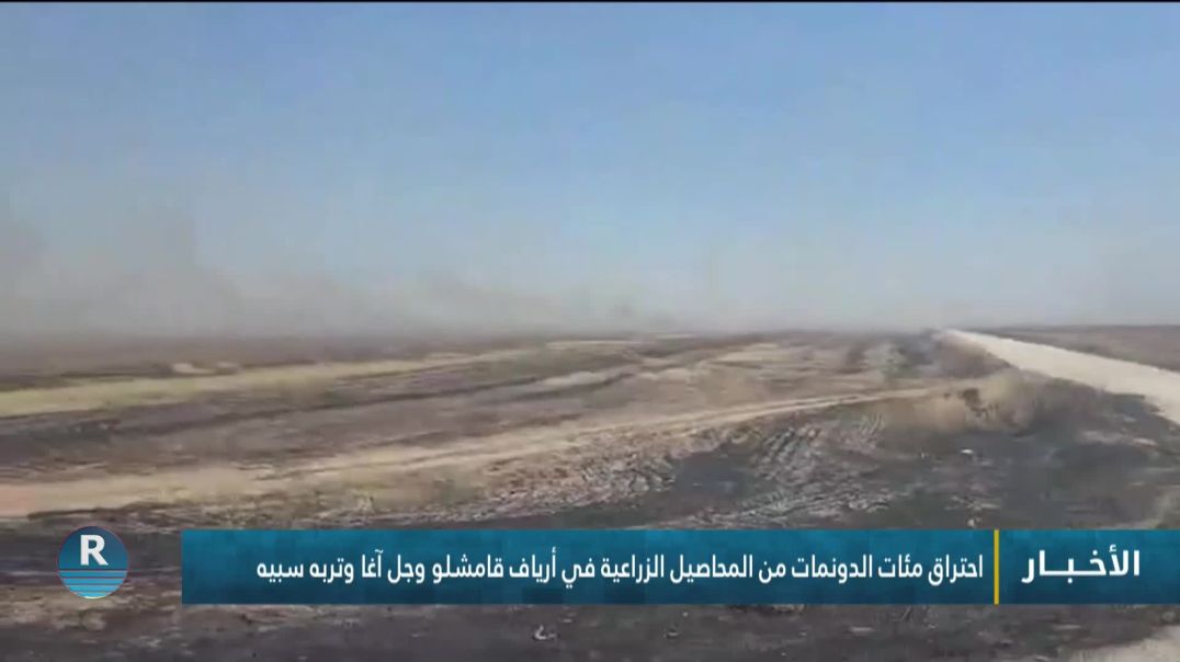 ⁣احتراق مئات الدونمات من المحاصيل الزراعية في أرياف قامشلو وجل آغا وتربه سبيه