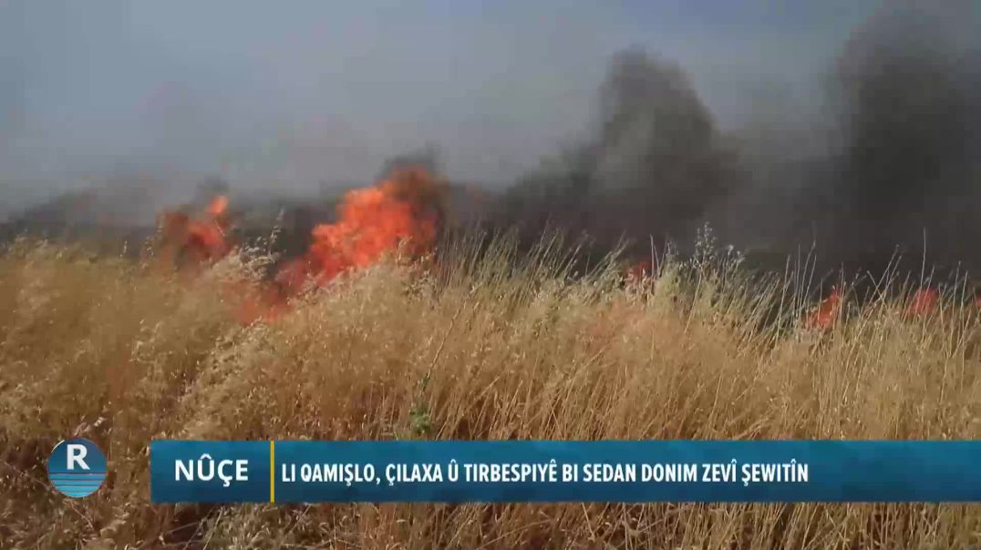 ⁣LI QAMIŞLO, ÇILAXA Û TIRBESPIYÊ BI SEDAN DONIM ZEVÎ ŞEWITÎN