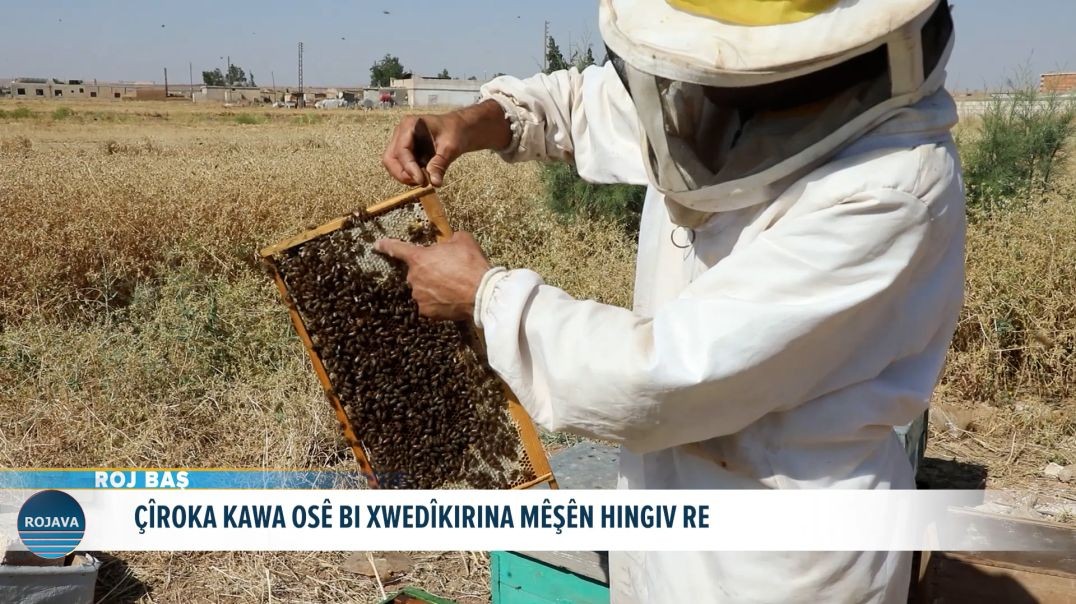 ROJ BAŞ 26 - 6 - 2026