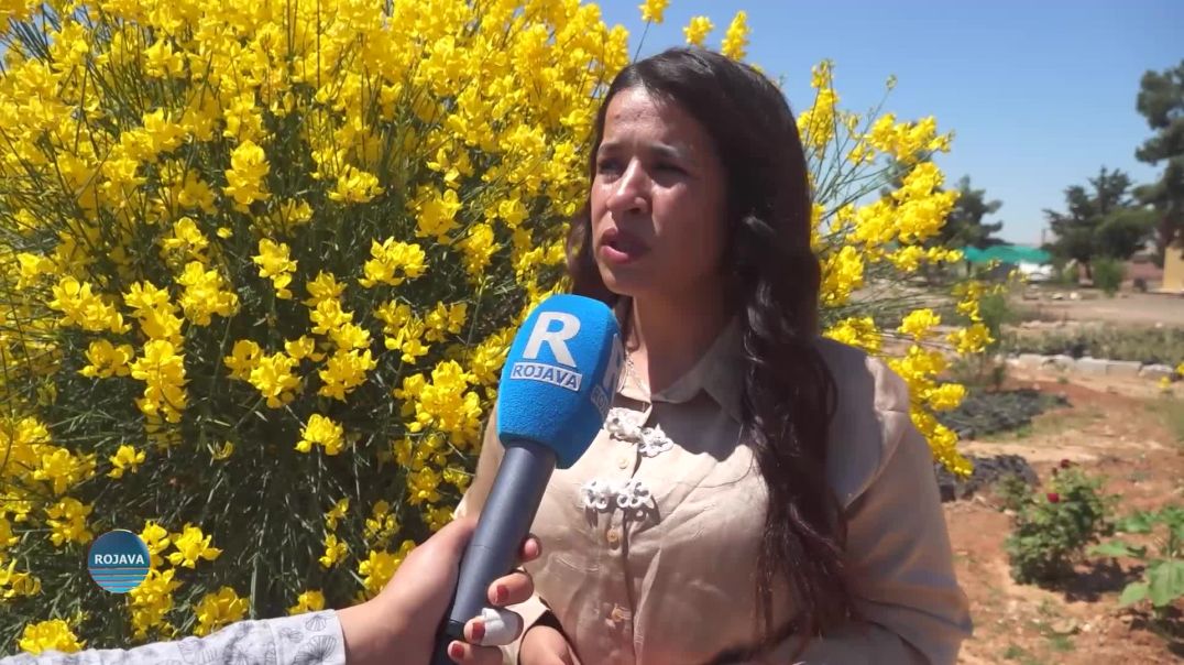 JIYAN MIHEMED: DI ŞITILGEHA ŞEHÎD ROJENG DE GELEK CÛREYÊN GUL Û DAR HENE