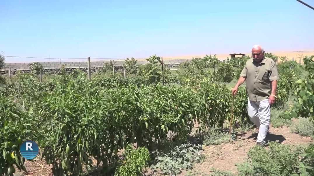 ⁣COTKARÊ 50 SALÎ... EZMÛNA BAV Û KALAN DI ZEVIYÊN DÊRIKÊ DE ZINDÎ DIBE