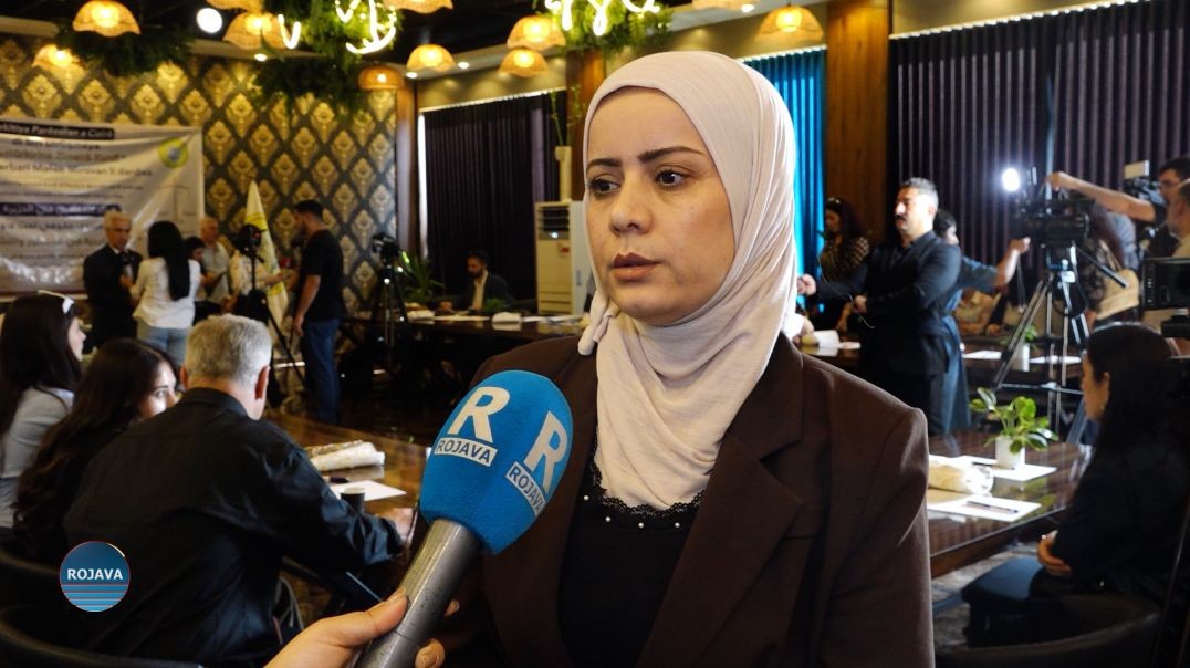 ⁣PARÊZERAN HEBÛNA ZIMANÊ KURDÎ DI DESTÛRÊ DE NÎQAŞ KIR