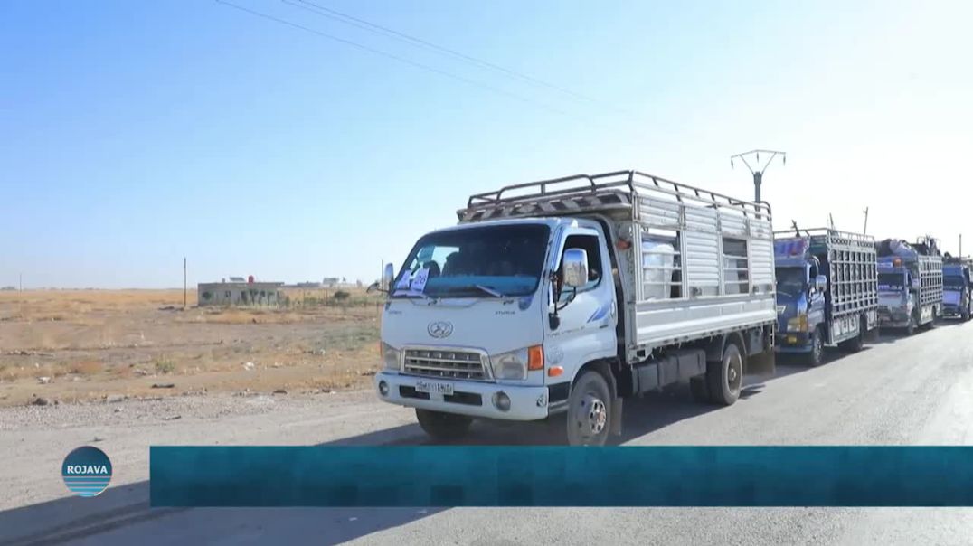 ⁣انطلاق الدفعة الرابعة بنحو 514 عائلة من مهجّري سري كانيه وريف تل تمر نحو ديارها
