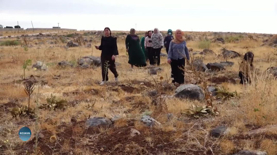 ⁣ARÎN MÎRKAN Û RÊVANA KOBANÊ HATIN BIBÎRANÎN